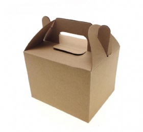Fast Food Packaging box