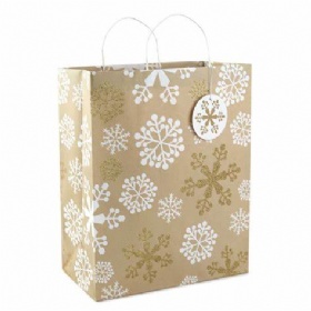 Paper Gift Bag