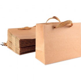 Paper Gift Bag